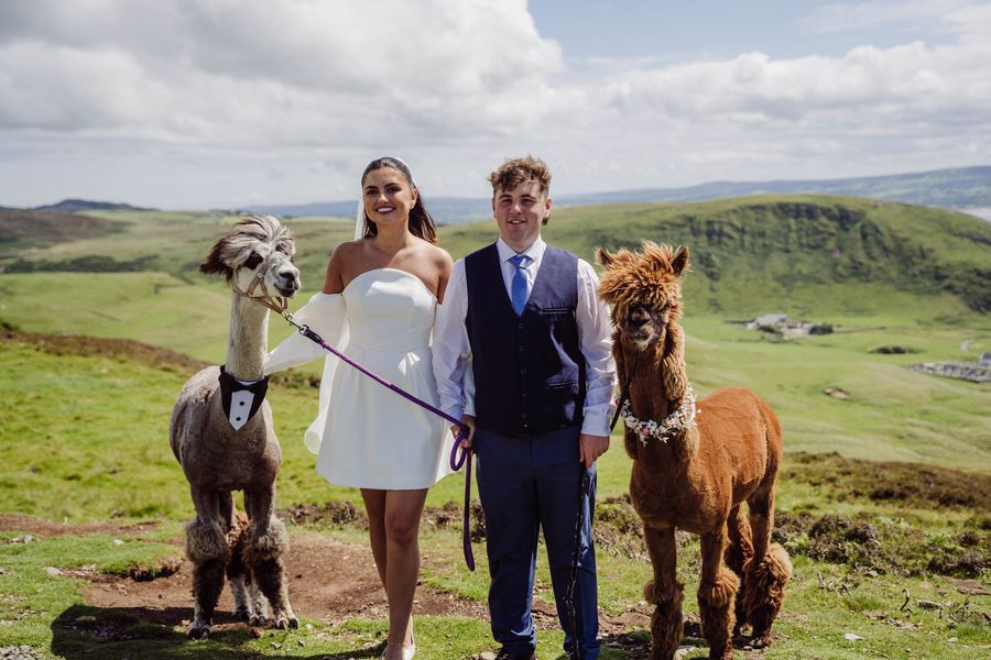 A bride and groom stand between two alpacas on a hillside above the sea at Malin Head