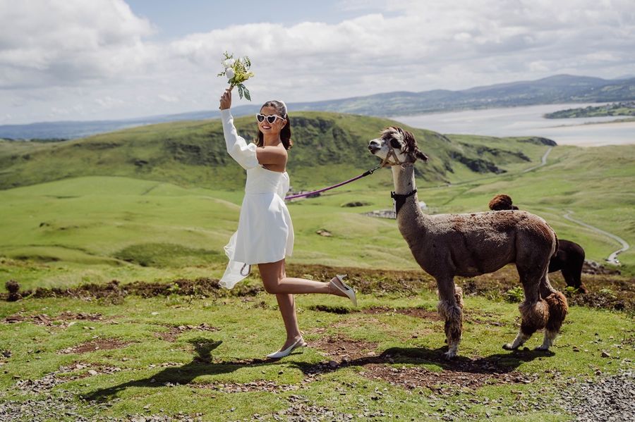 A bride in sunglasses throws her bouquet in the air as she walks an alpaca across the hillside
